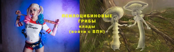 марки lsd Вяземский