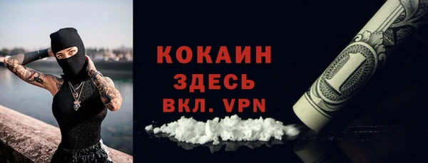 спайс Гусь-Хрустальный