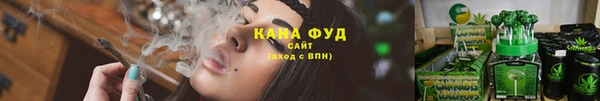 тгк Гусев