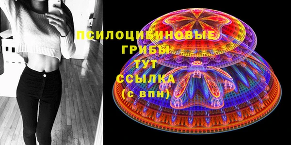 спиды Новозыбков