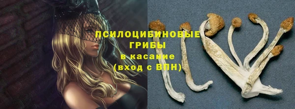 прущие грибы Алексин
