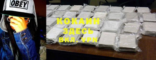 прущие грибы Алексин