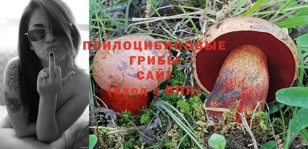 прущие грибы Алексин