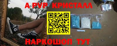 дмт Новокубанск
