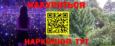 дмт Новокубанск