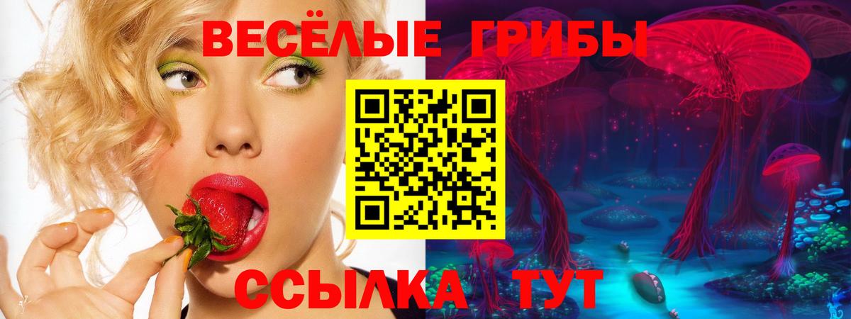 Псилоцибиновые грибы мухоморы  Вход с VPN  Галлюциногенные грибы GOLDEN TEACHER  цены наркотик  Уссурийск 