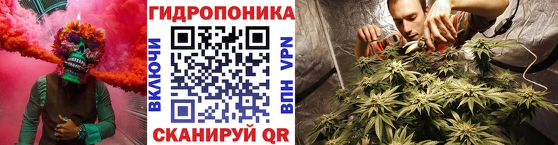 Конопля планчик  где можно купить наркотик  Уссурийск 